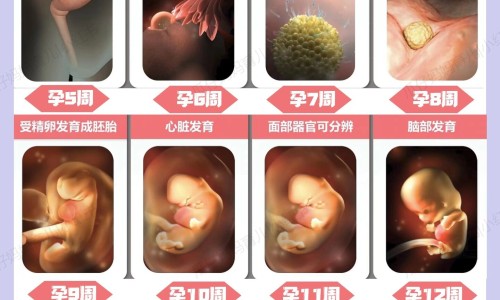 羧甲淀粉钠适合长期吃吗-【羧甲淀粉钠对人体有害吗】羧甲淀粉钠溶液大人有效吗 - 成人羧甲淀粉钠溶液功效网